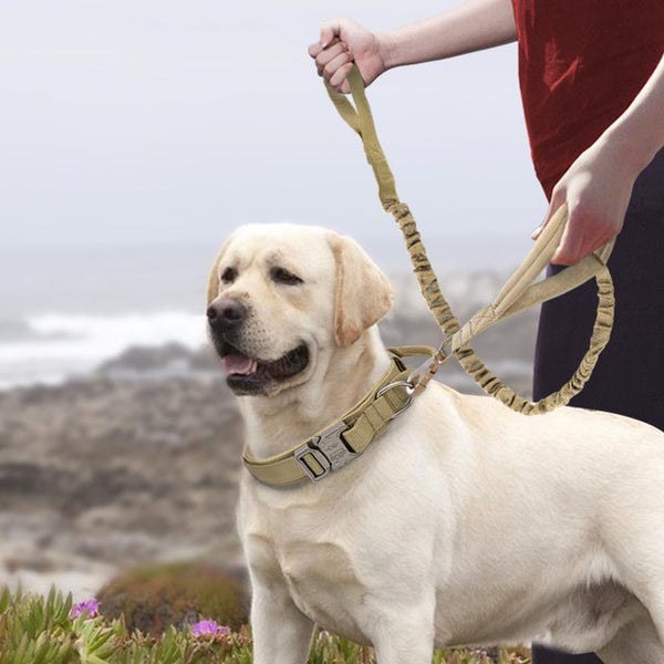 Nylon Dog Collars Large And Medium-sized Dogs Pet Collars